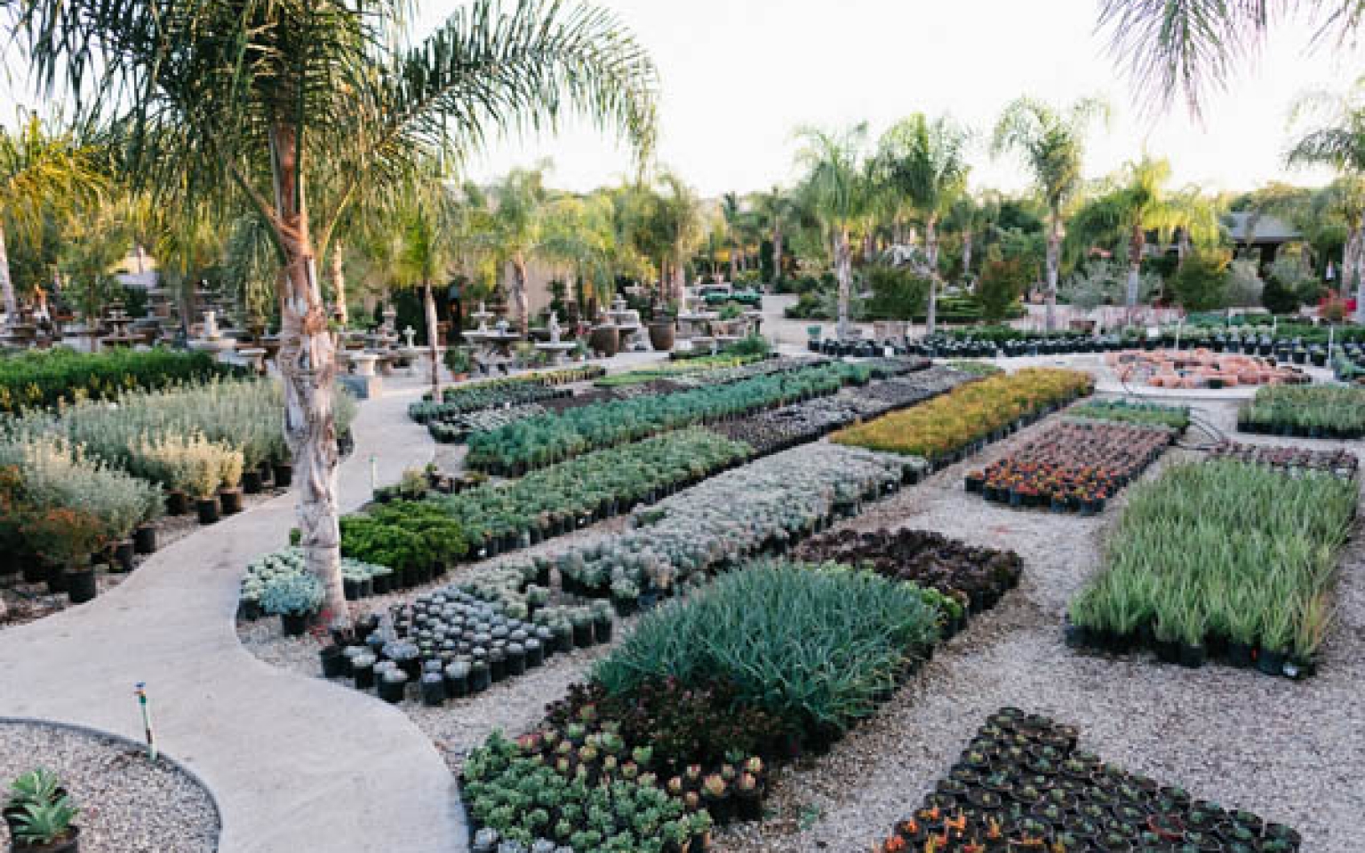 Home Sterling Gardens Nursery