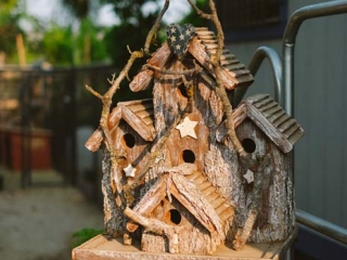 bird house